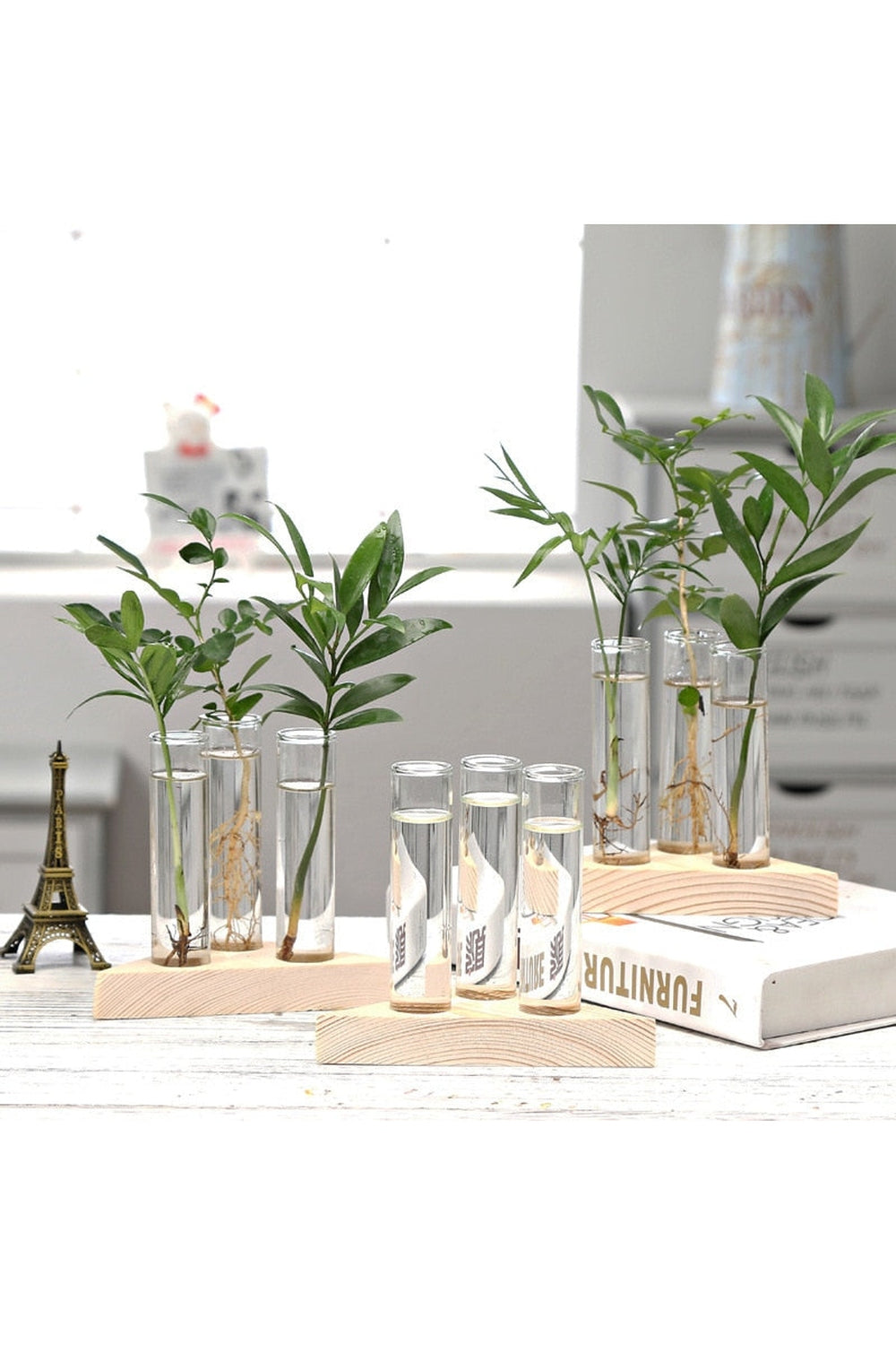 Wooden Hydroponic Plant Vases