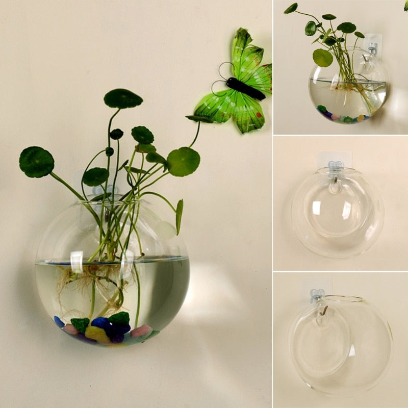 Hydroponic Wall Vase