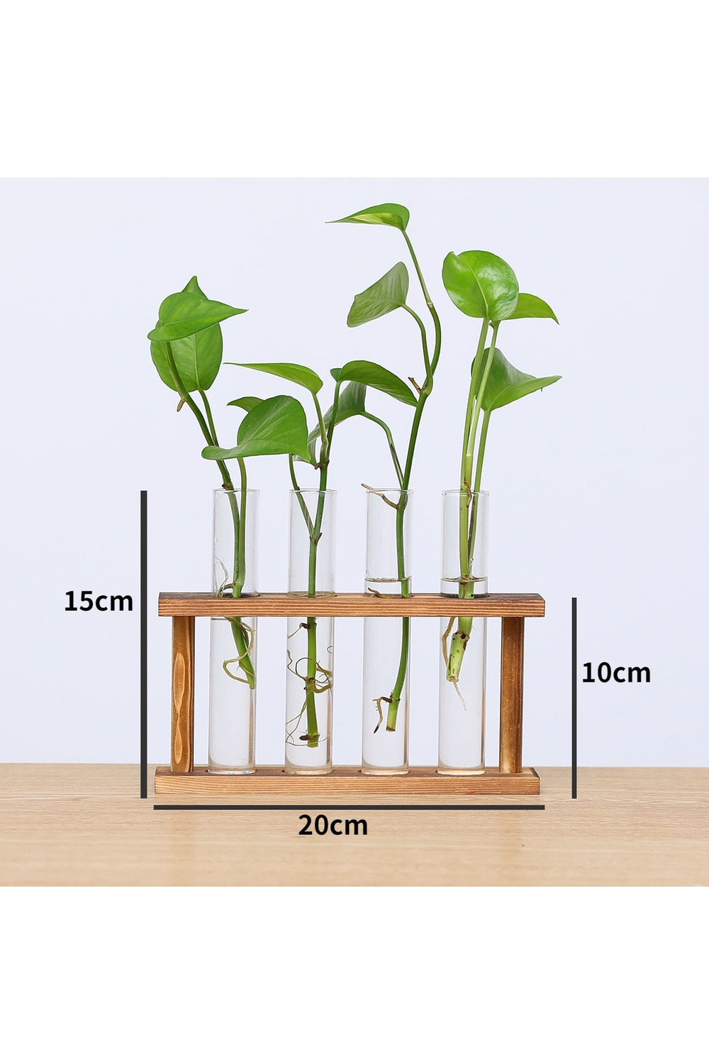 Wooden Hydroponic Plant Vases