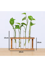 Wooden Hydroponic Plant Vases