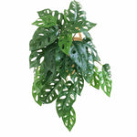 Mini Green Vine Decor