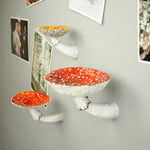 Mushroom Hanging Shelf