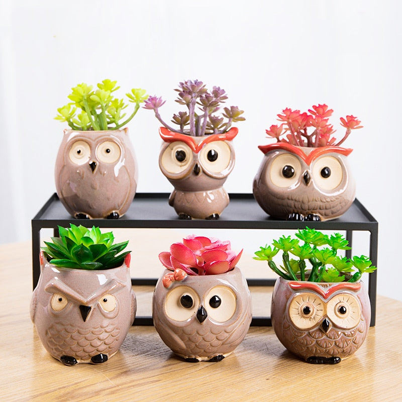 Wise Owl Ceramic Flower Pot