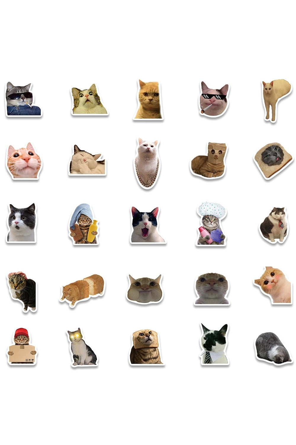 Dog Cat Meme Funny Stickers 10/30/50/100pcs