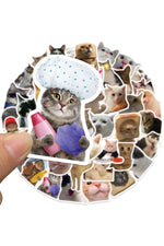 Waterproof Cat Fun Stickers 50PCS