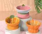 Fruit Shape Cat Bowl