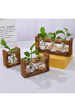 Wooden Hydroponic Plant Vases