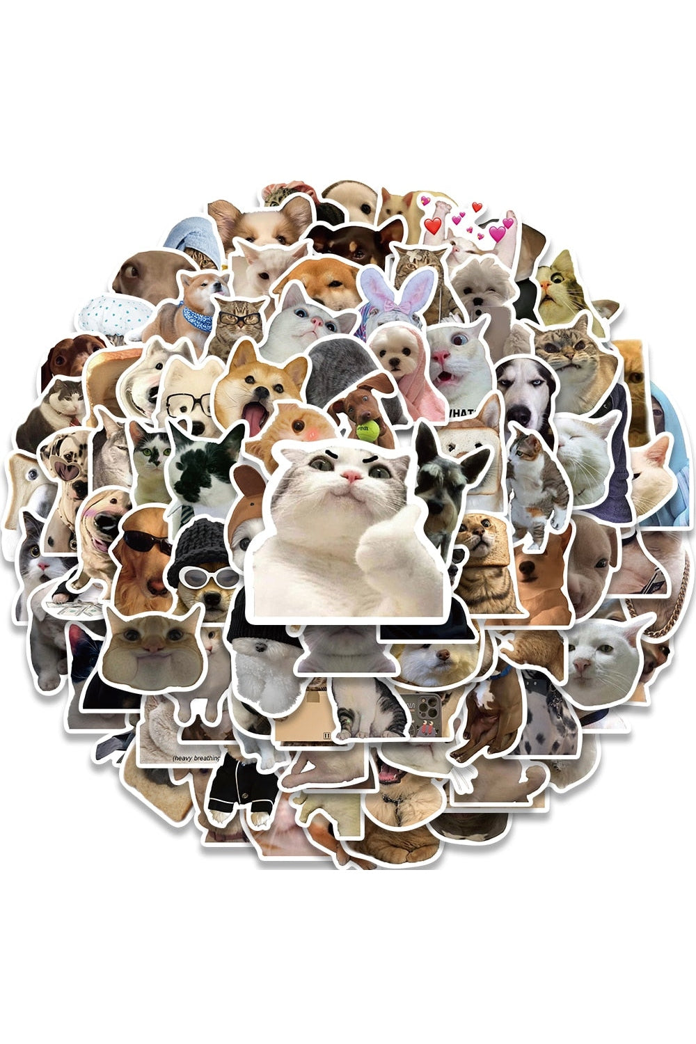 Dog Cat Meme Funny Stickers 10/30/50/100pcs