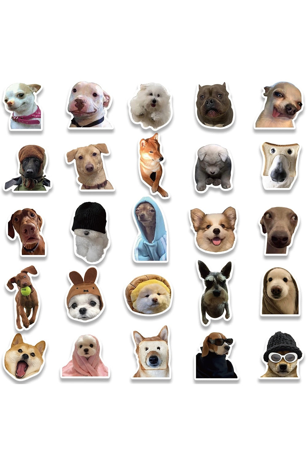 Dog Cat Meme Funny Stickers 10/30/50/100pcs