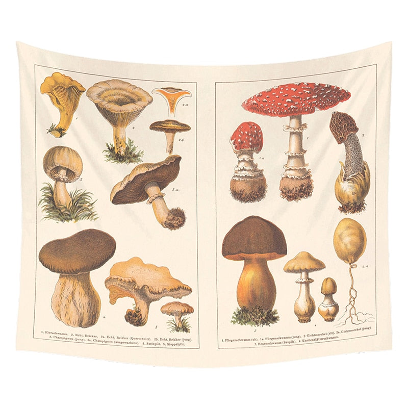 Cottagecore Mushroom Map Tapestry