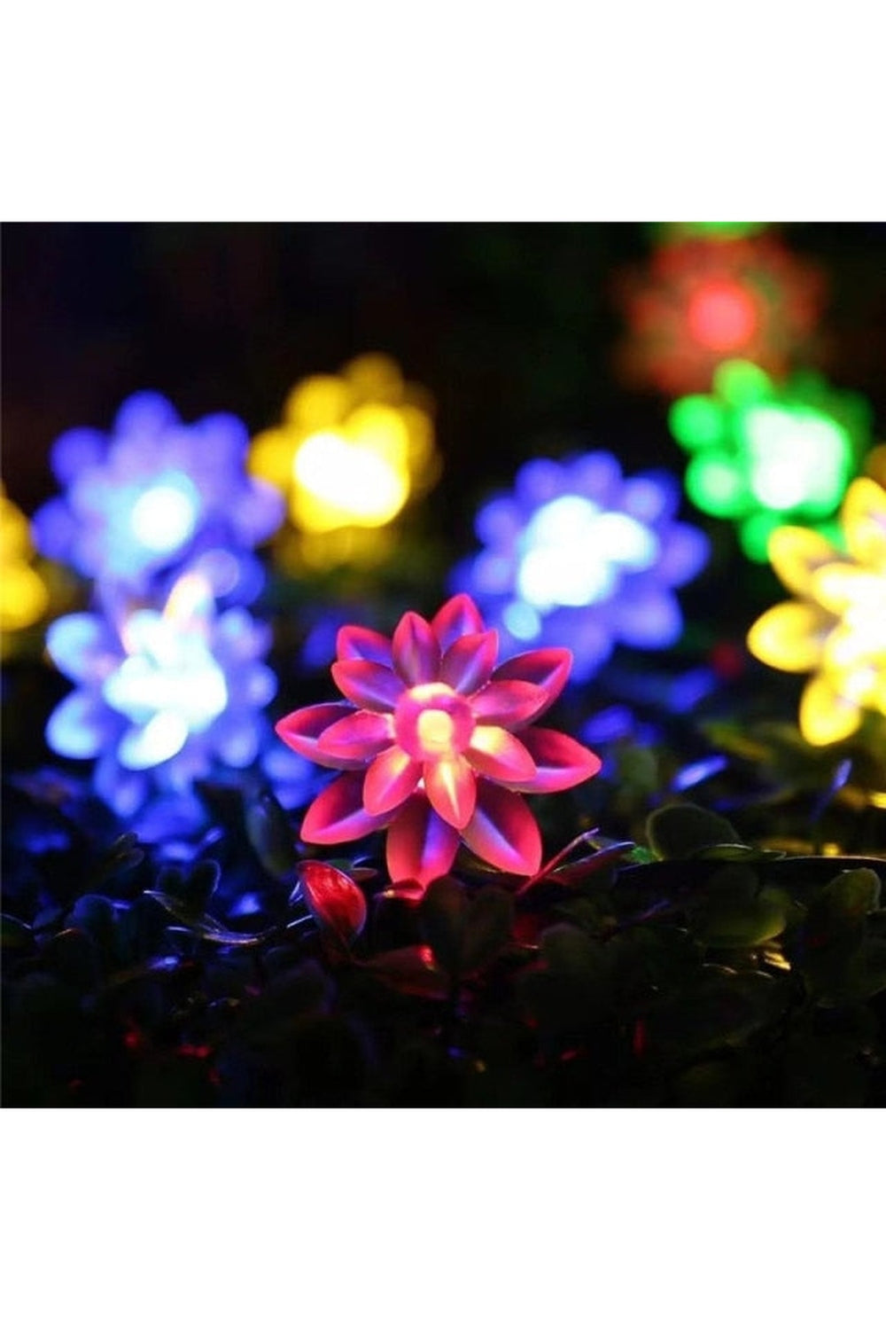 Enchanting Solar Blossom String Lights