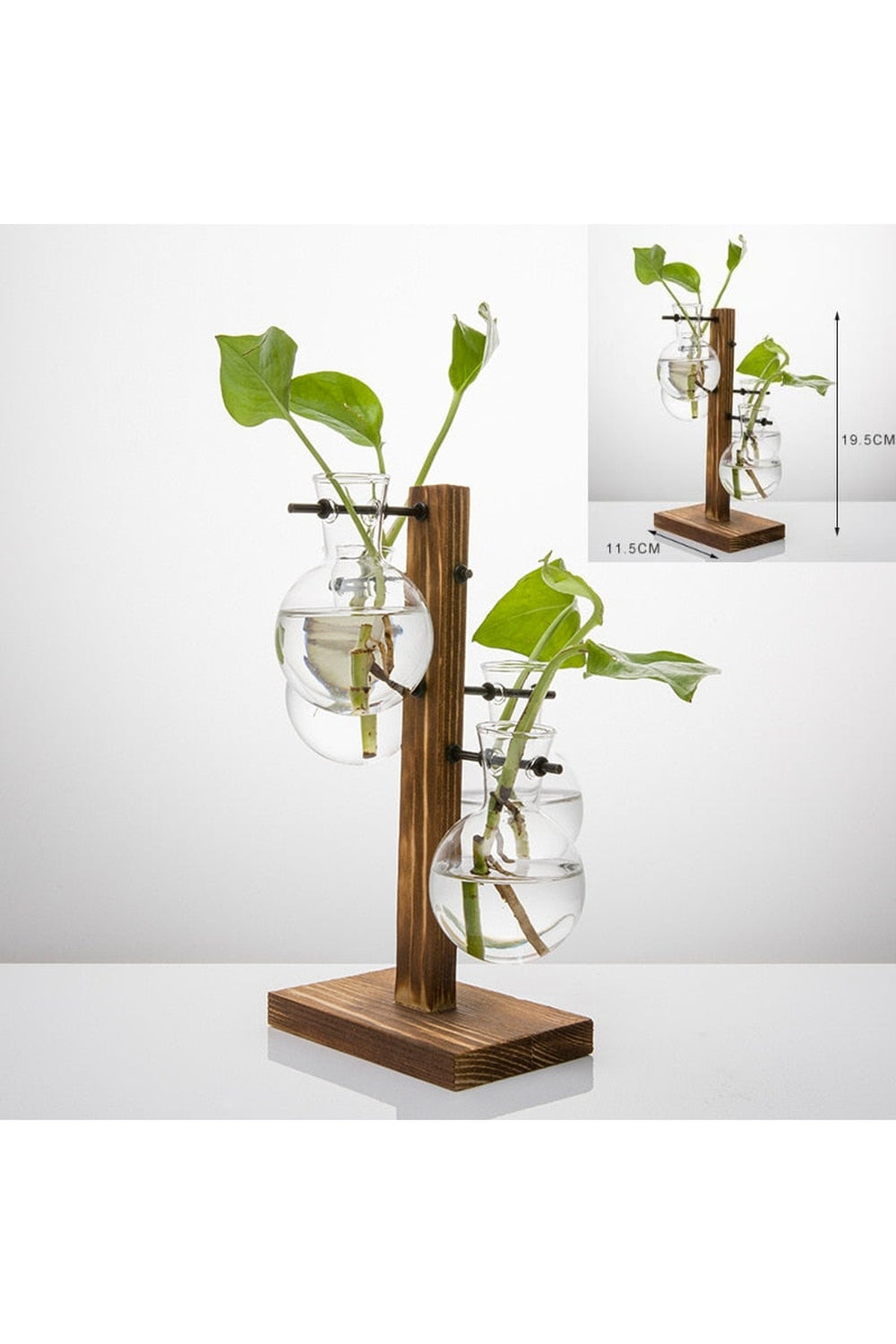 Wooden Hydroponic Plant Vases