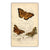 Butterfly Canvas Poster Dark Academia