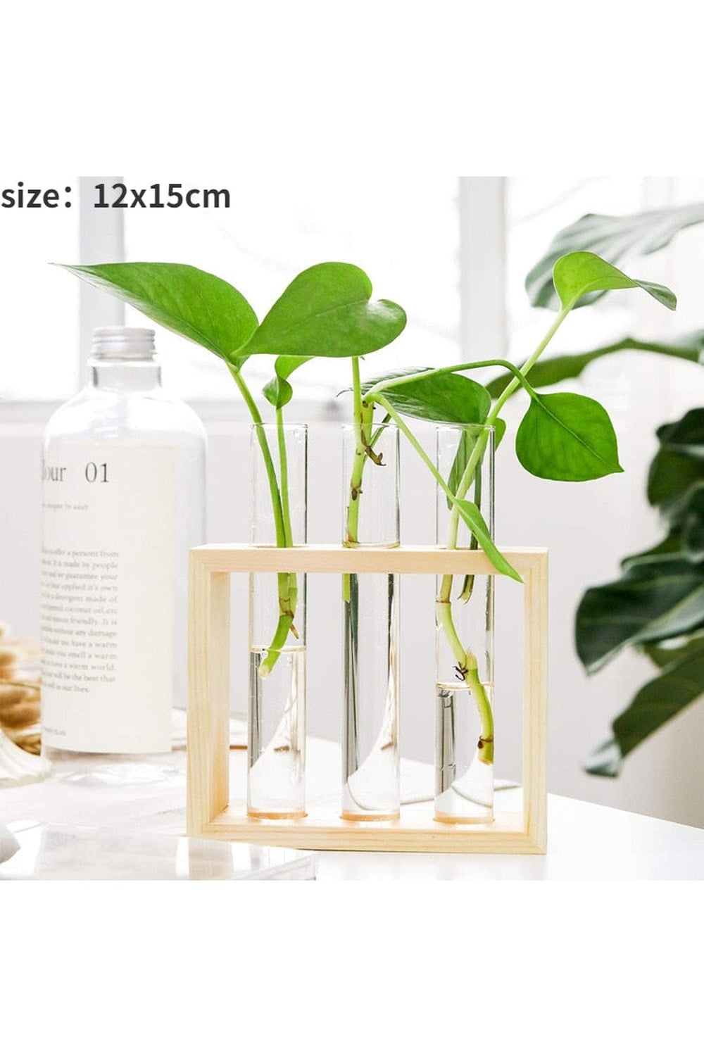 Wooden Hydroponic Plant Vases