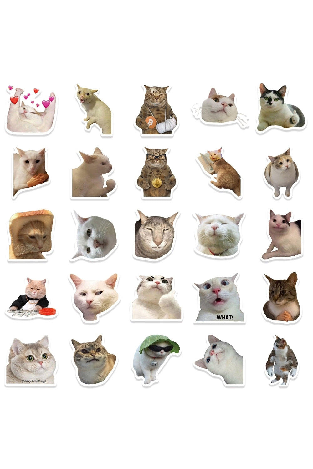 Waterproof Cat Fun Stickers 50PCS