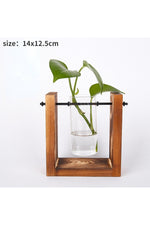 Wooden Hydroponic Plant Vases