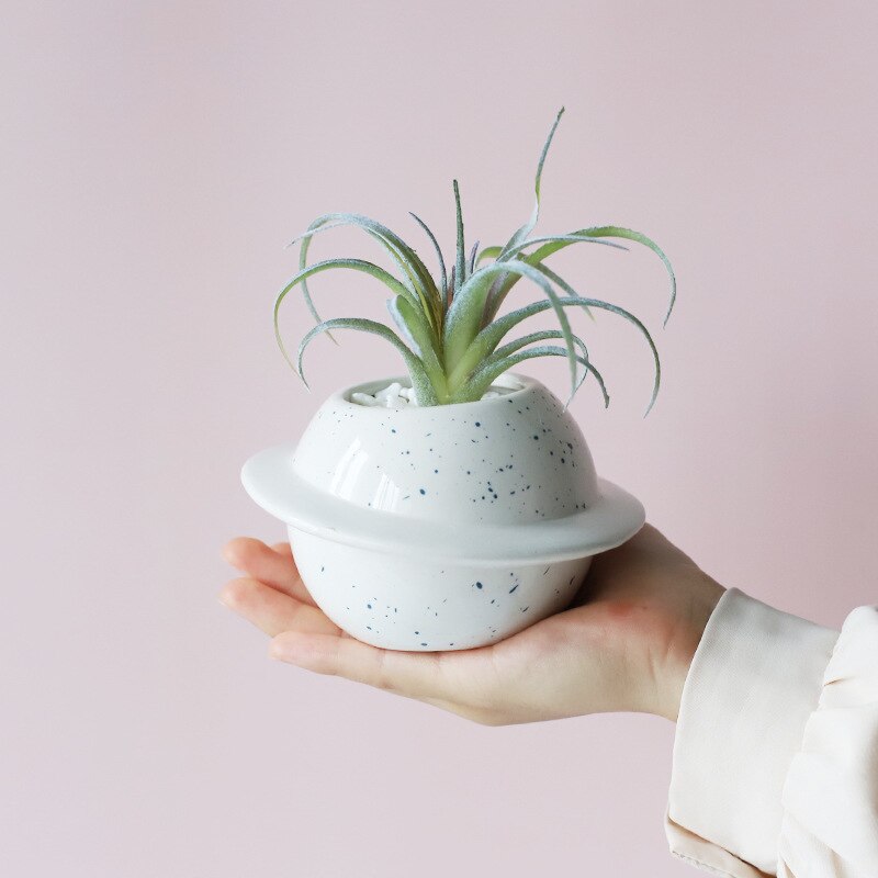 Planet Ceramic Succulent Pot