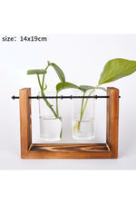 Wooden Hydroponic Plant Vases