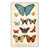 Butterfly Canvas Poster Dark Academia