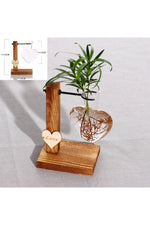 Wooden Hydroponic Plant Vases