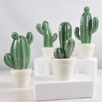 Aesthetic Baby Cactus Vases