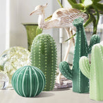 Aesthetic Cactus Ceramic Vases