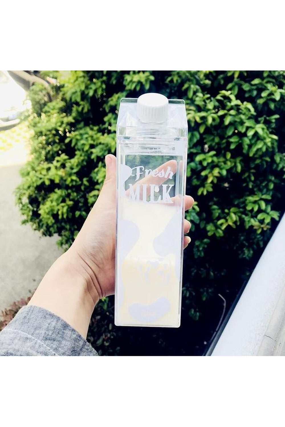 Animal Themed Water Bottle