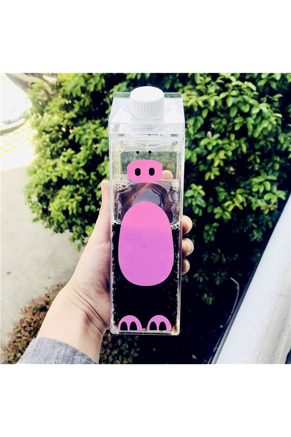 Animal Themed Water Bottle