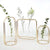 Aesthetic Frame and Glass Vases