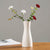 Aesthetic Modern White Vases