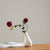Aesthetic Modern White Vases